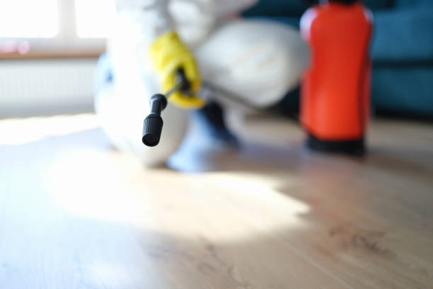 Best Mold Remediation for Vacation Homes  in Nipomo, CA