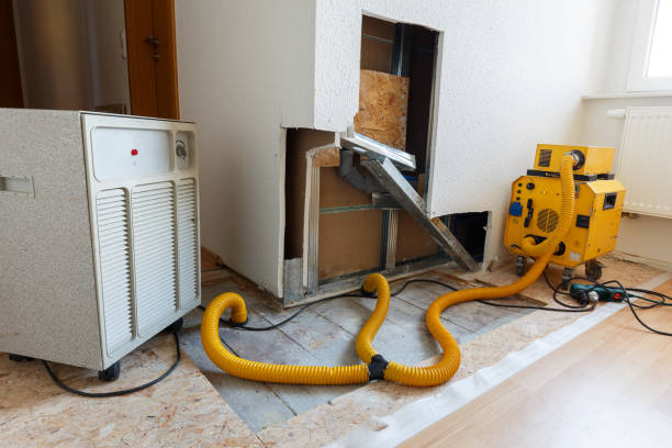 Best Mold Removal for HVAC Installations  in Nipomo, CA
