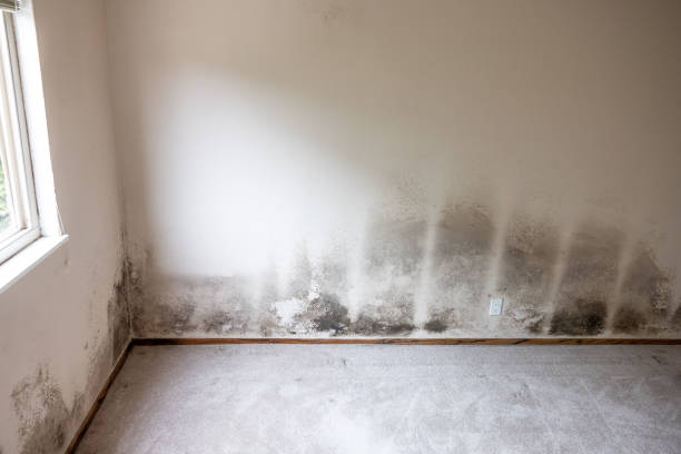 Best Indoor Air Quality Assessment  in Nipomo, CA